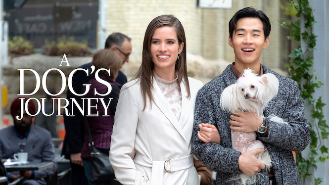 A dog's journey on sale netflix